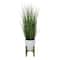 Flora Bunda® 50" Onion Grass In 10" Catheral Ceramic Pot On Stand